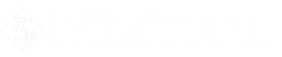 BST Performance Logo Chiptuning Leistungssteigerung München