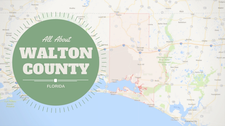 Walton County Map Walton County Blog Header 1 