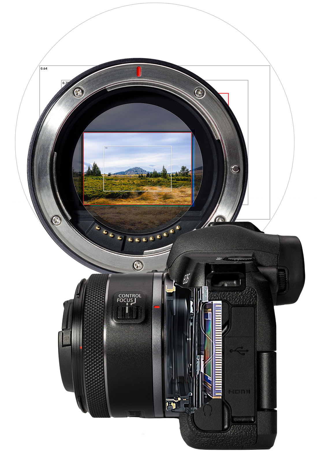 Illustration of how crop factor looks on a full-frame Canon EOS R sensor.