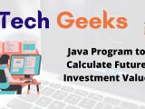 Write A Method That Computes Future Investment Value At A Given