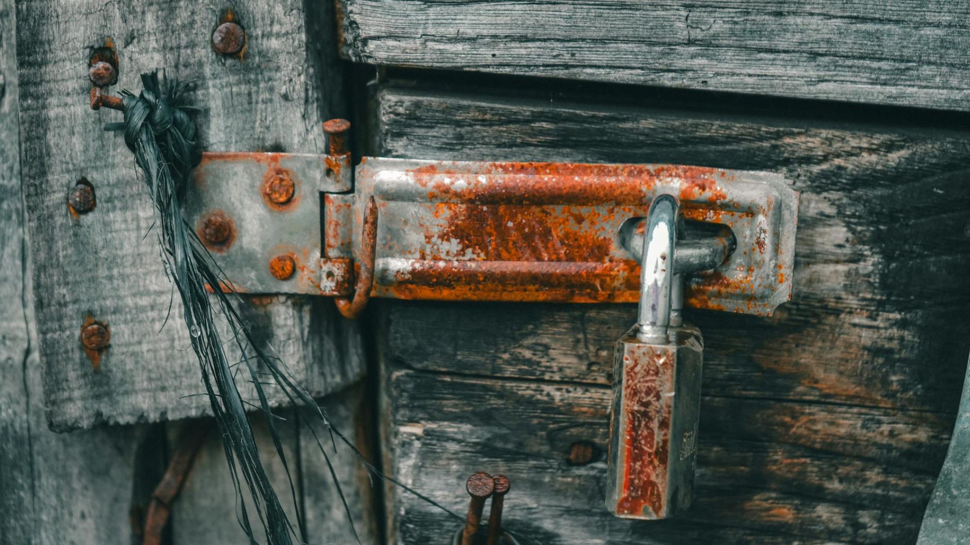 Close-up of a reinforced door lock illustrating hardware checks homeowners should request before engaging a local specialist.
