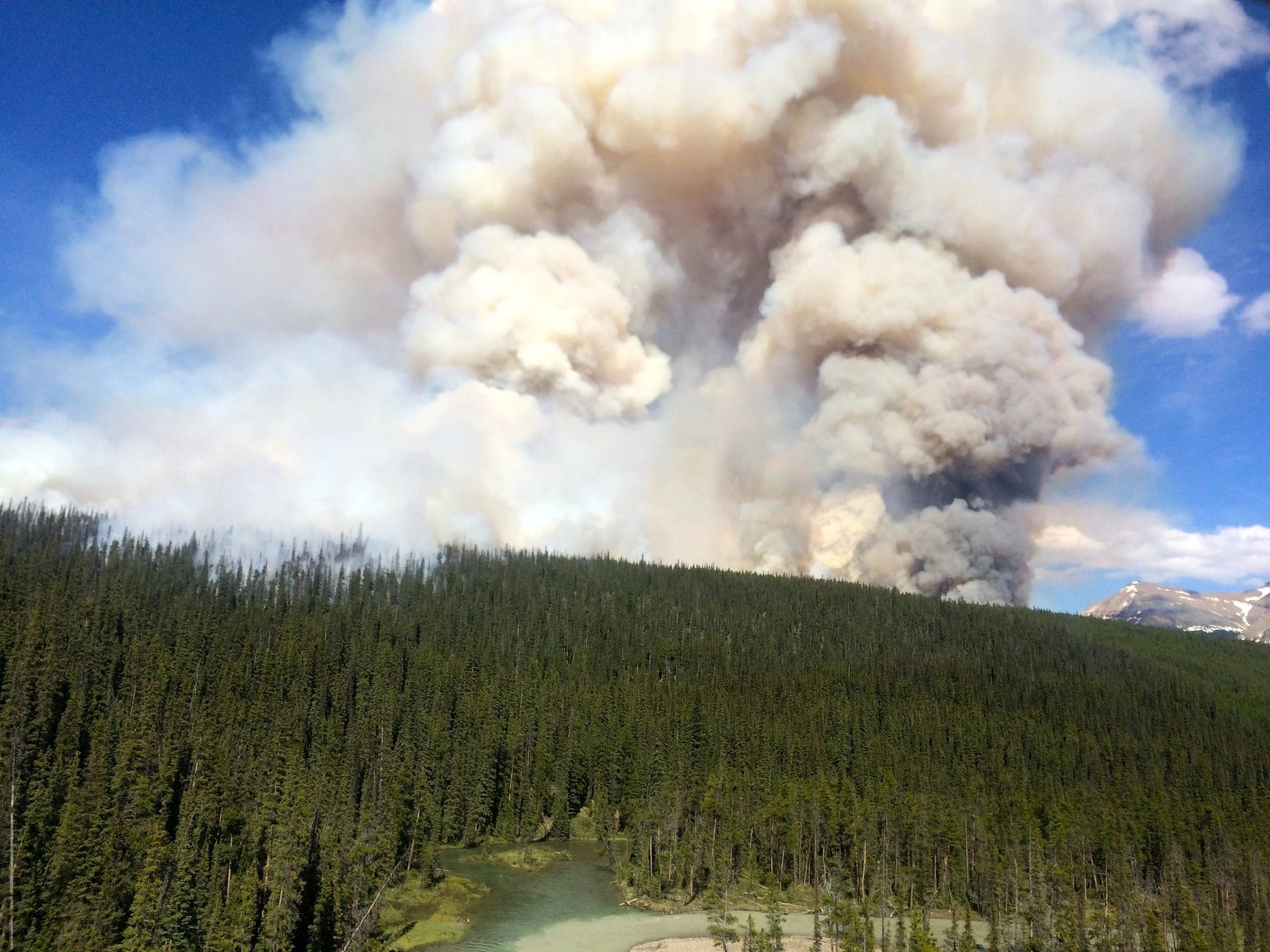 Protecting Homes Against Wildfires With Smart Solutions B T Wildfire