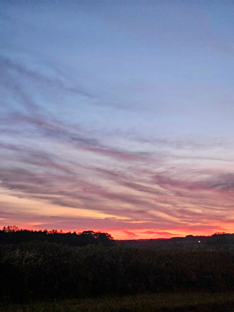 sunset evening