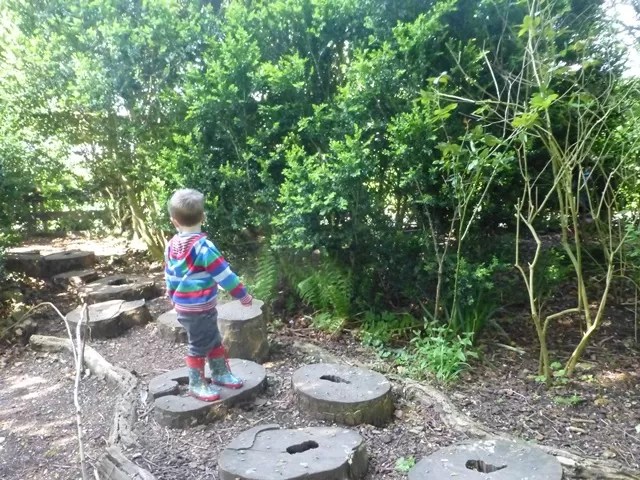stepping stumps