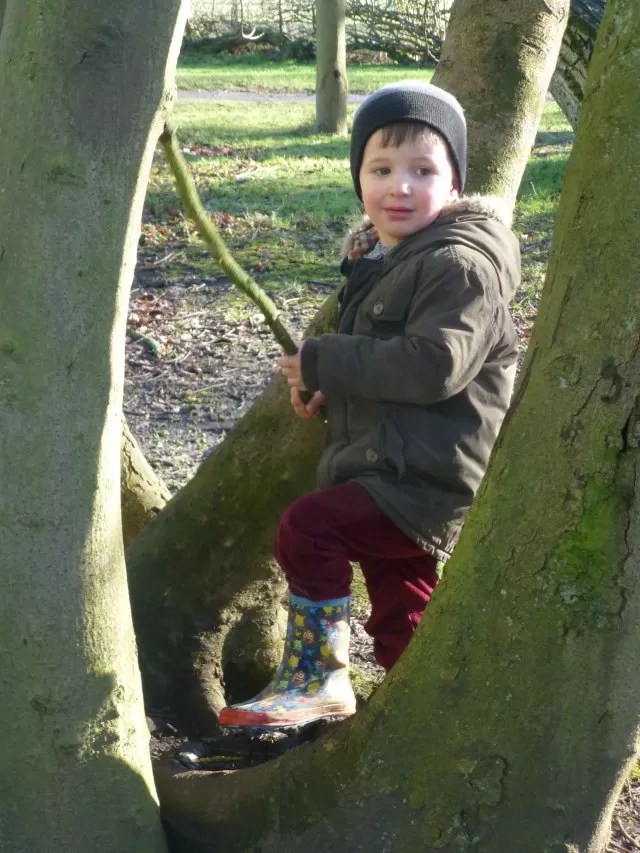 Framed by a tree trunk