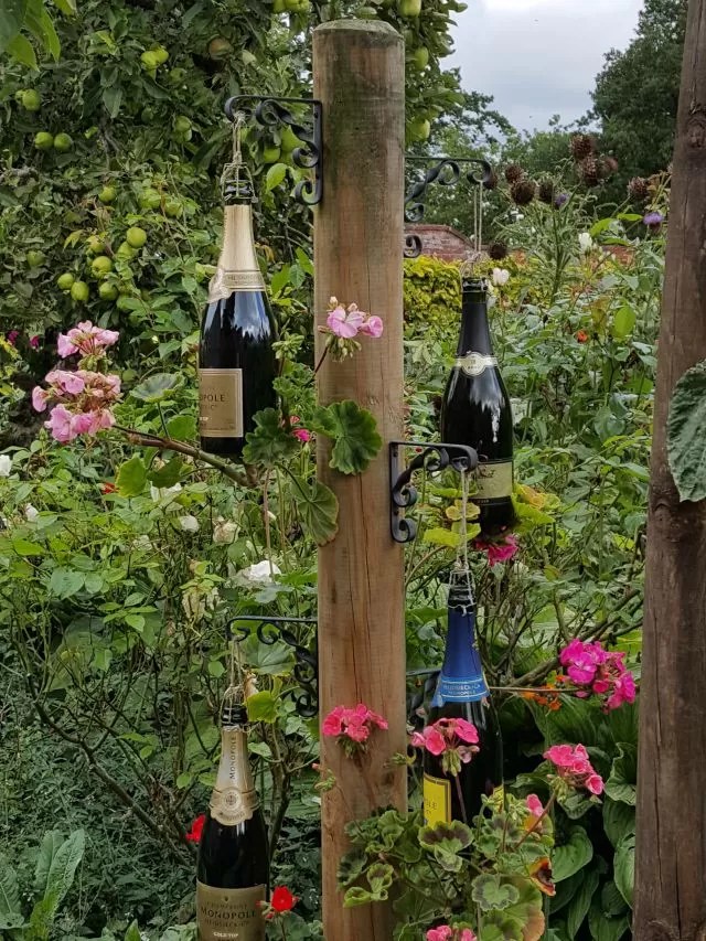 champagne bottles display