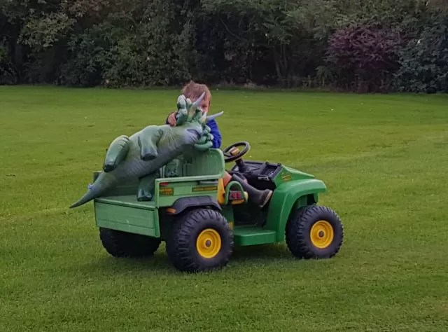 taking the dinosaur for a ride