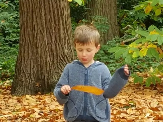 one leaf picked
