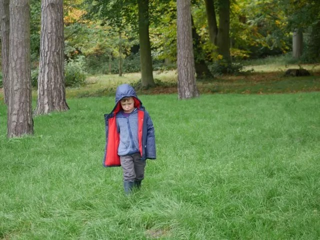 walking through the grass