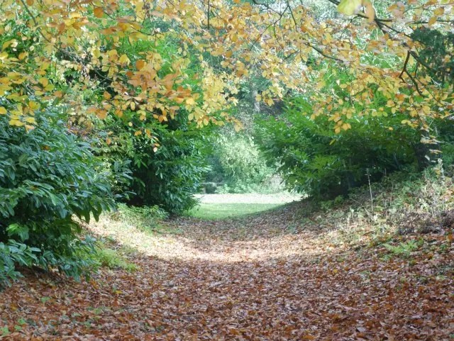 walkway of light