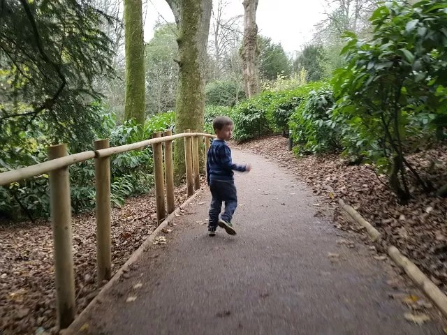 running down the hill to the stables