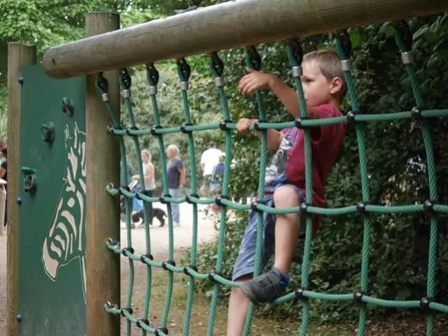 netting-on-obstacle-courses