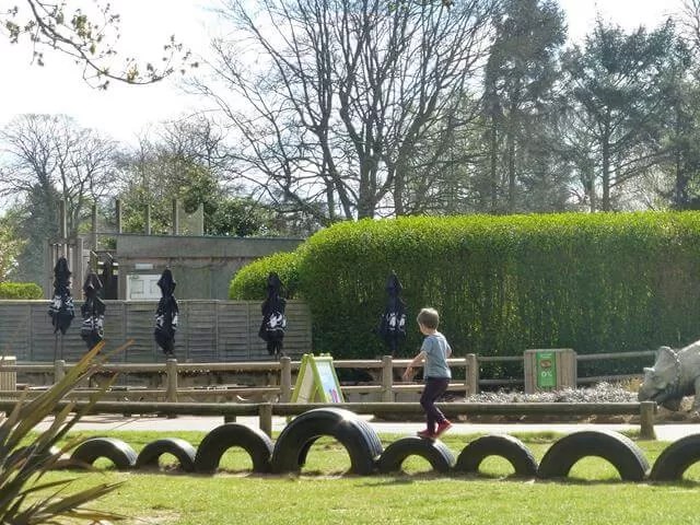 balancing in the playground at dinosaur adventure