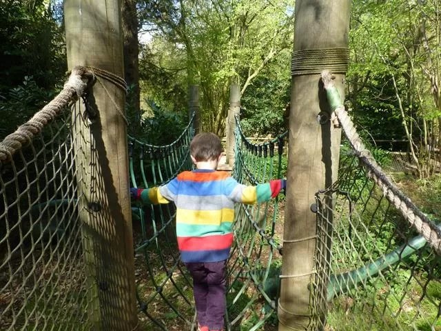 walking the net rope bridge