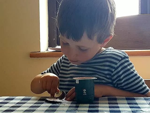 yoghurt addict