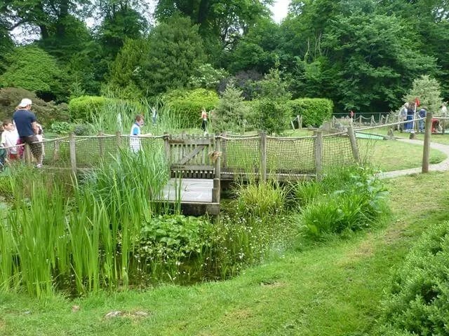 pond on the mini golf course.