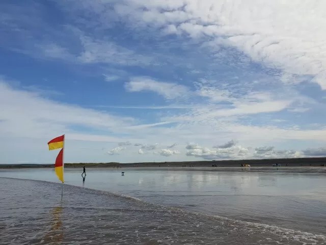 lifeguard flags