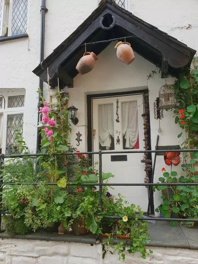 pretty house flowers.