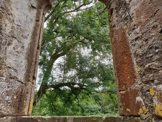 view from a castle window
