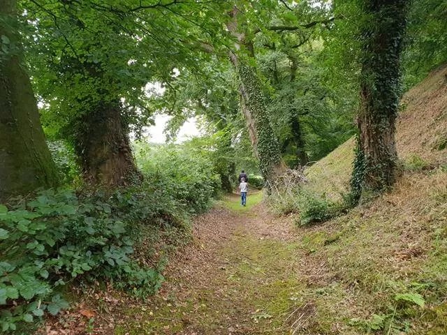 walk around the castle grounds
