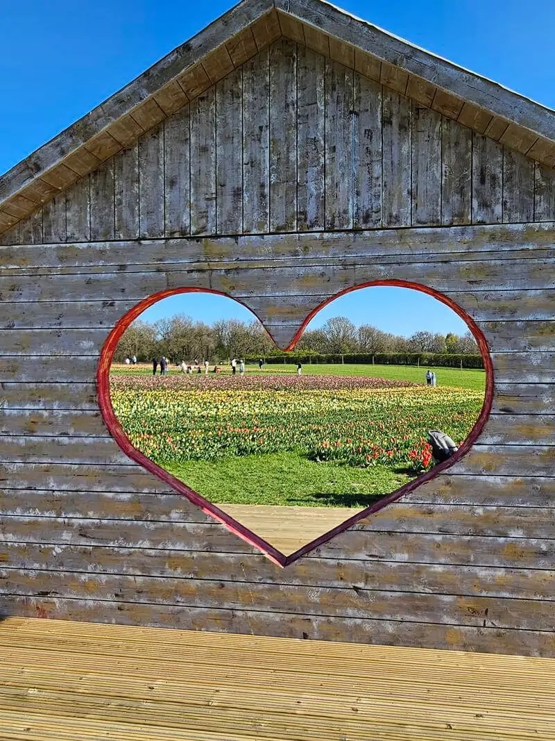 heart view through to tulip gardens