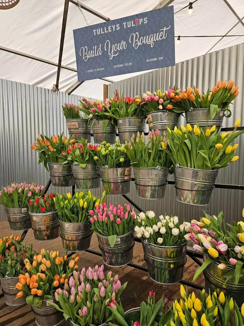 tulips to buy on display