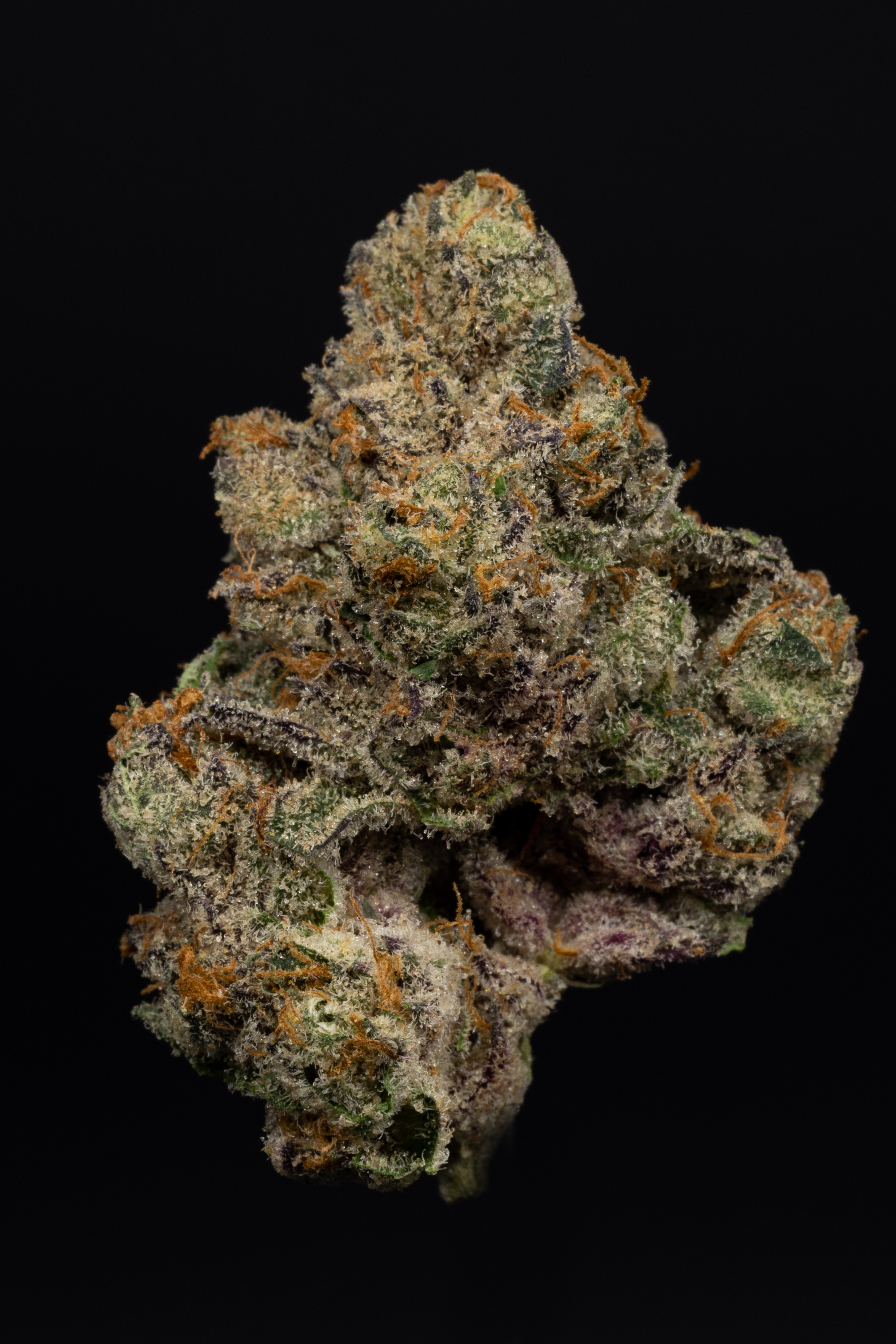 Premium Flower THCa