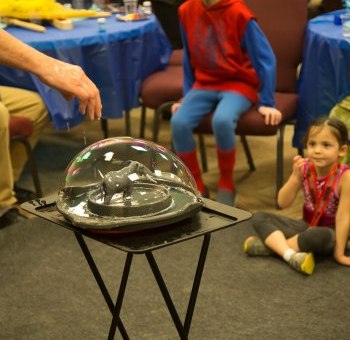 The Ultimate Guide to Choosing a Bubble Show for Birthdays, Schools, and Camp Days
