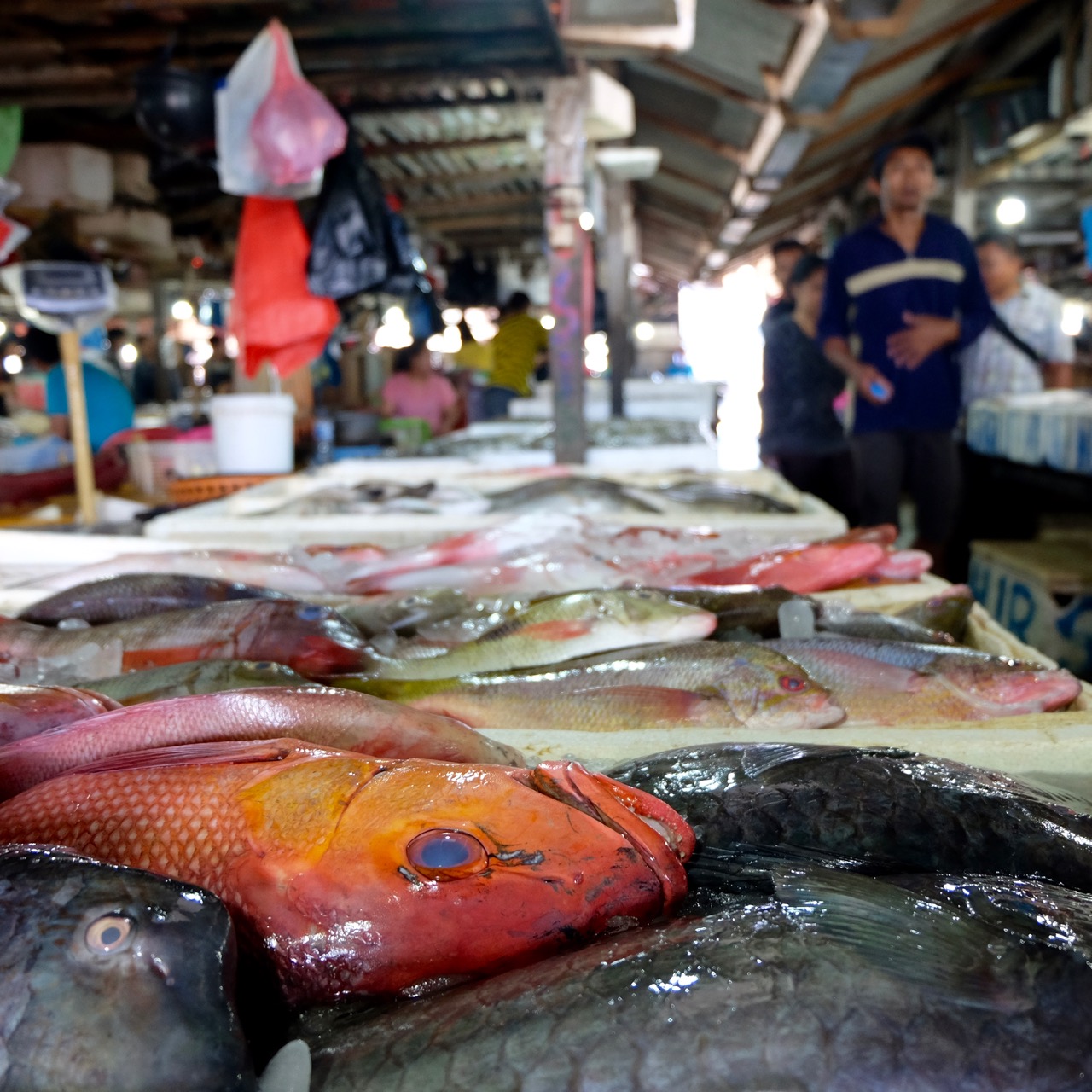 Jimbaran's fisherman's bay & market