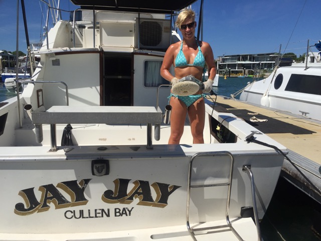 Buff, buff, buff some more