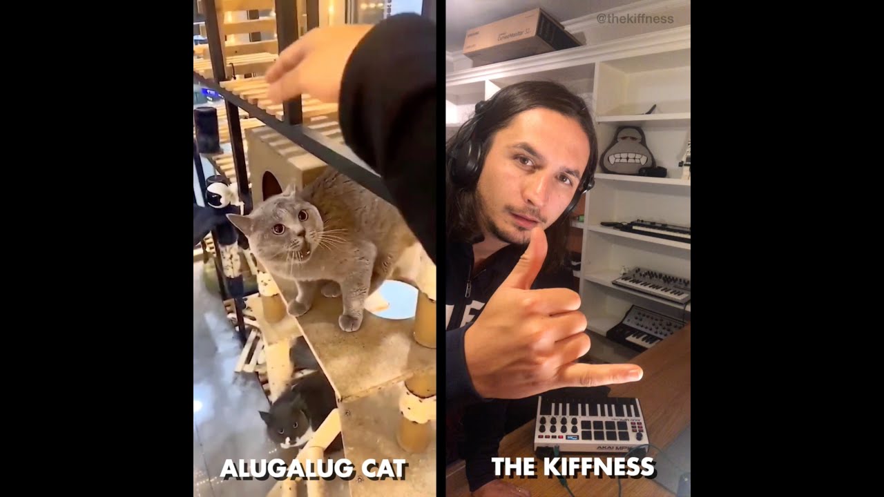 The Kiffness