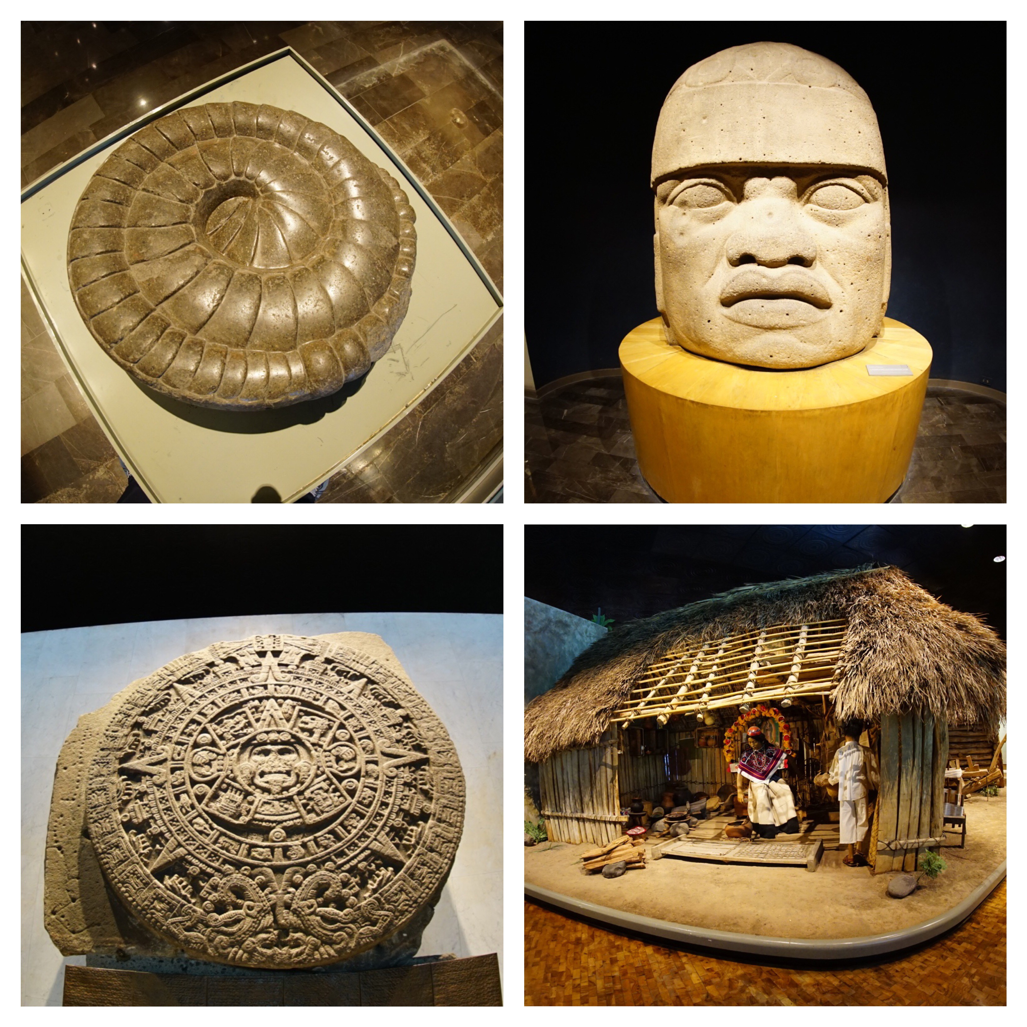 Processed with MOLDIV