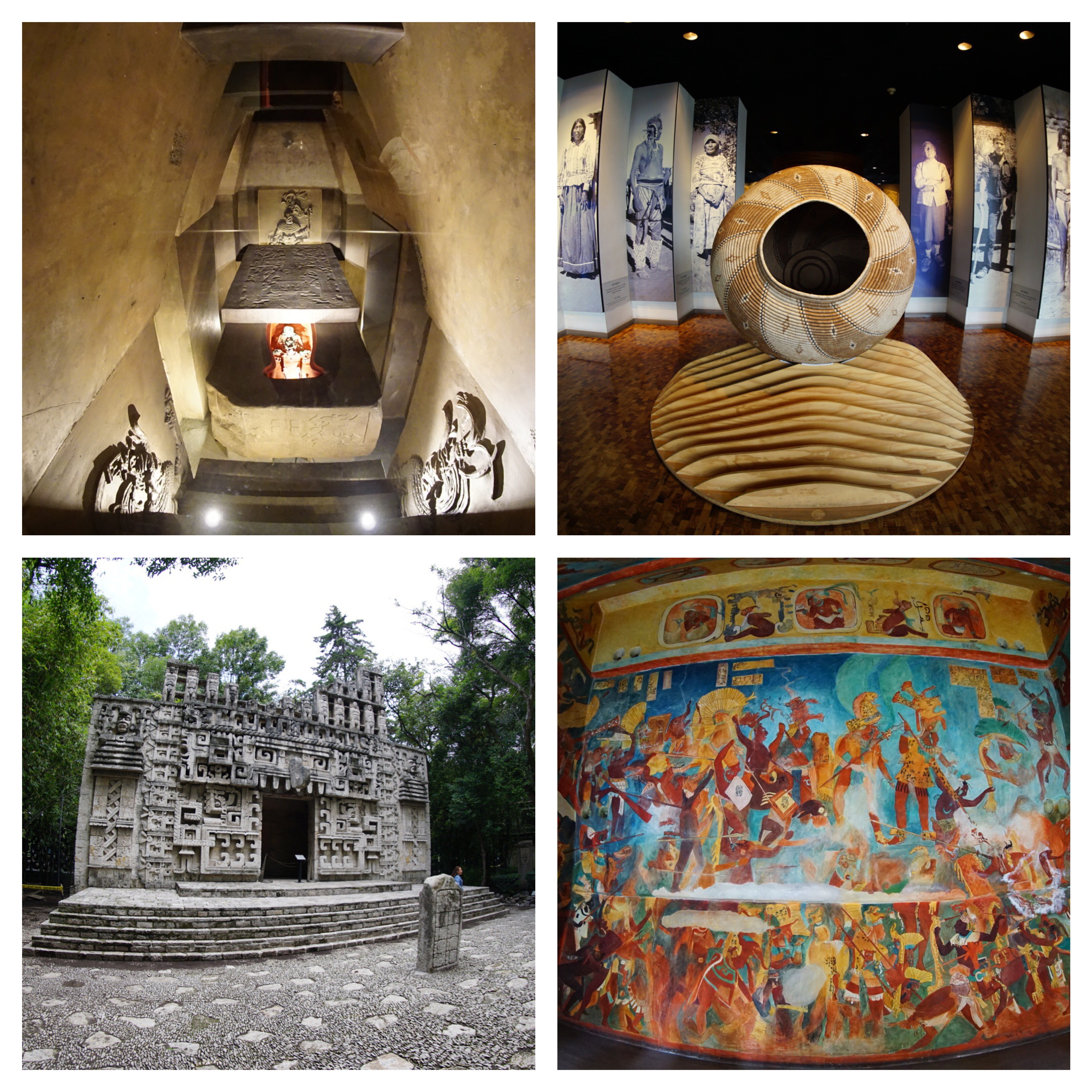 Processed with MOLDIV