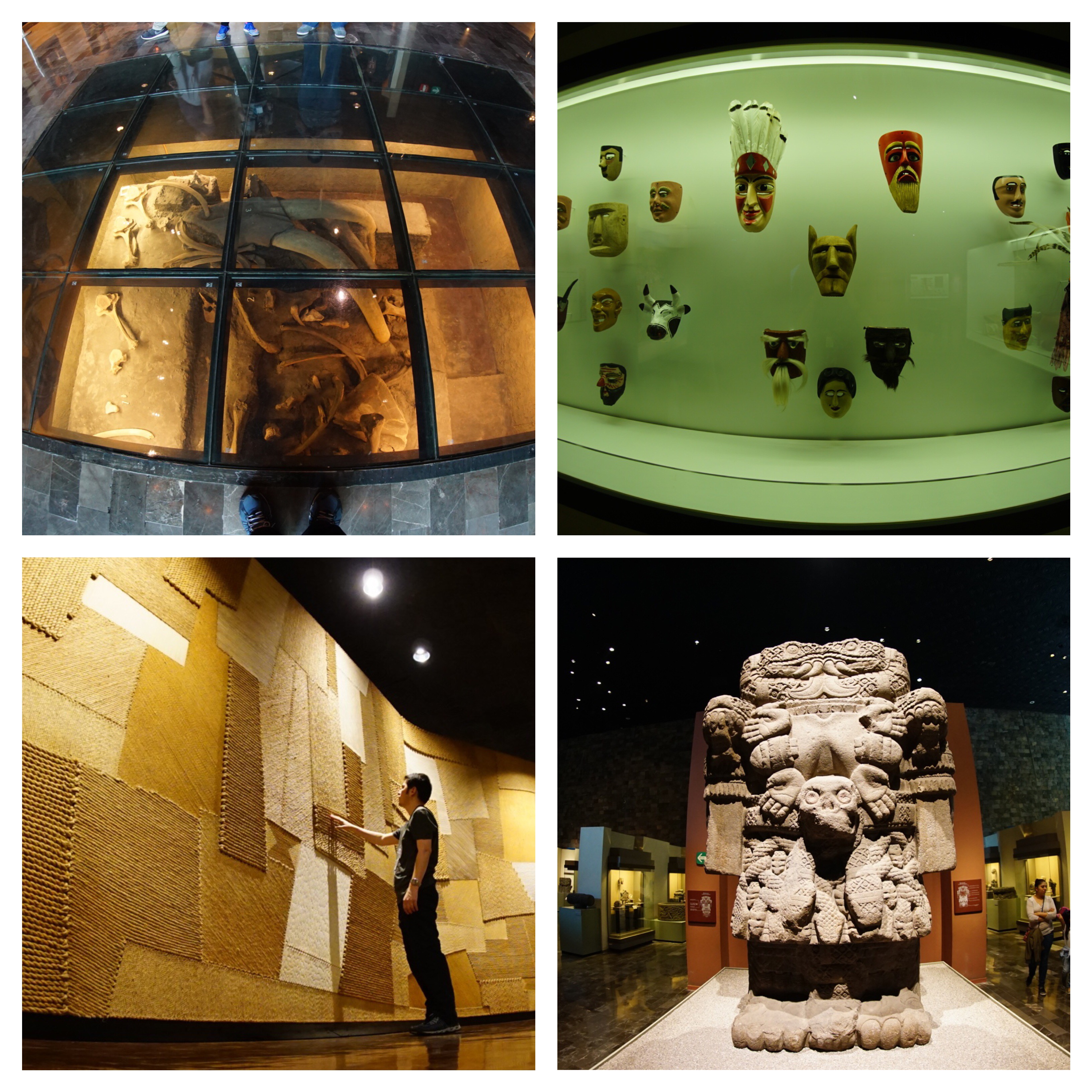 Processed with MOLDIV