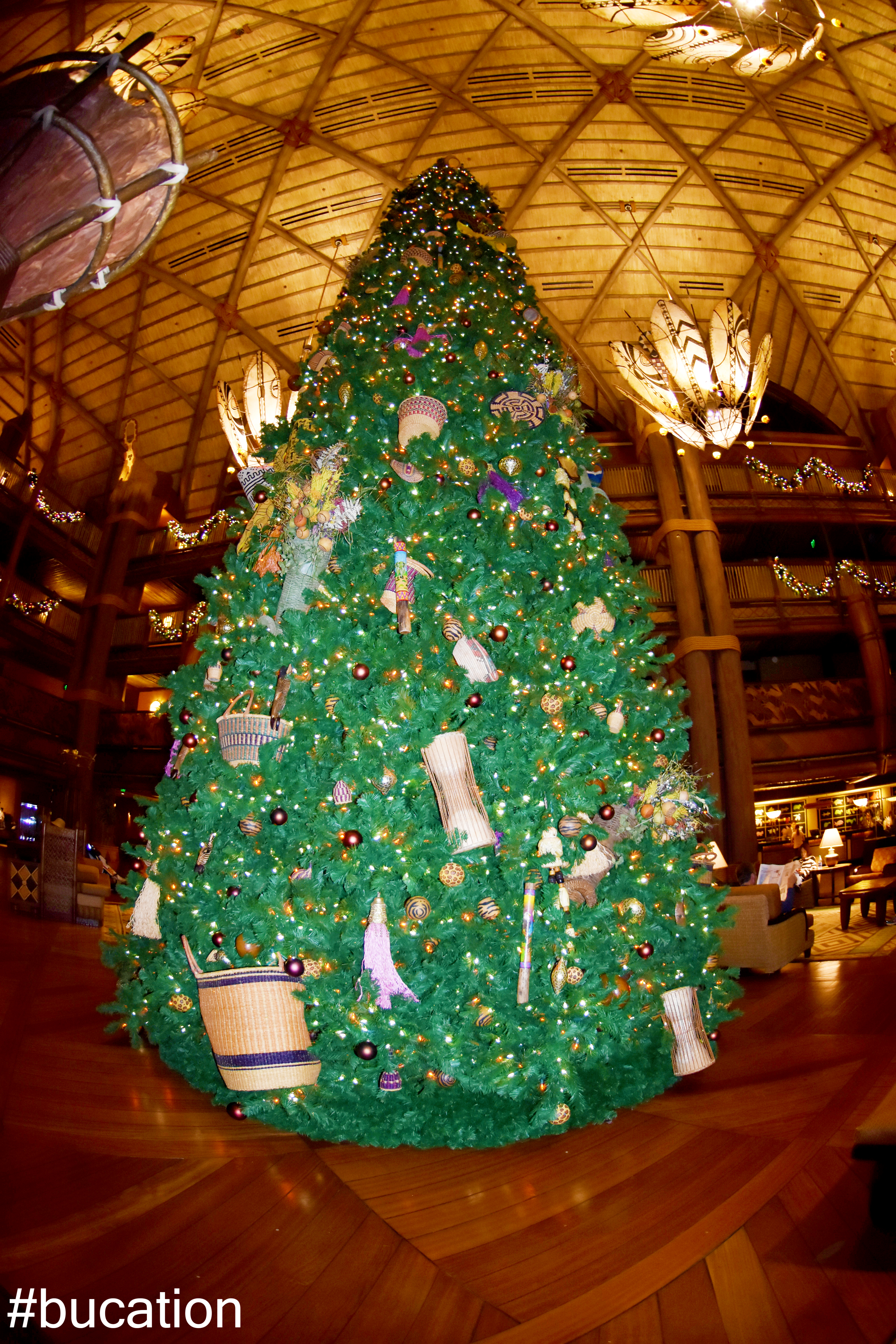 Disney's Animal Kingdom Lodge Resort