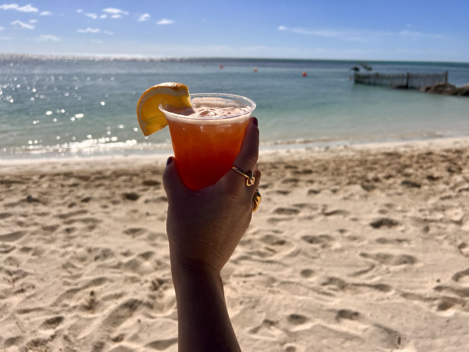 Guide to Perfect Day at CocoCay: Royal Caribbean's Private Island
