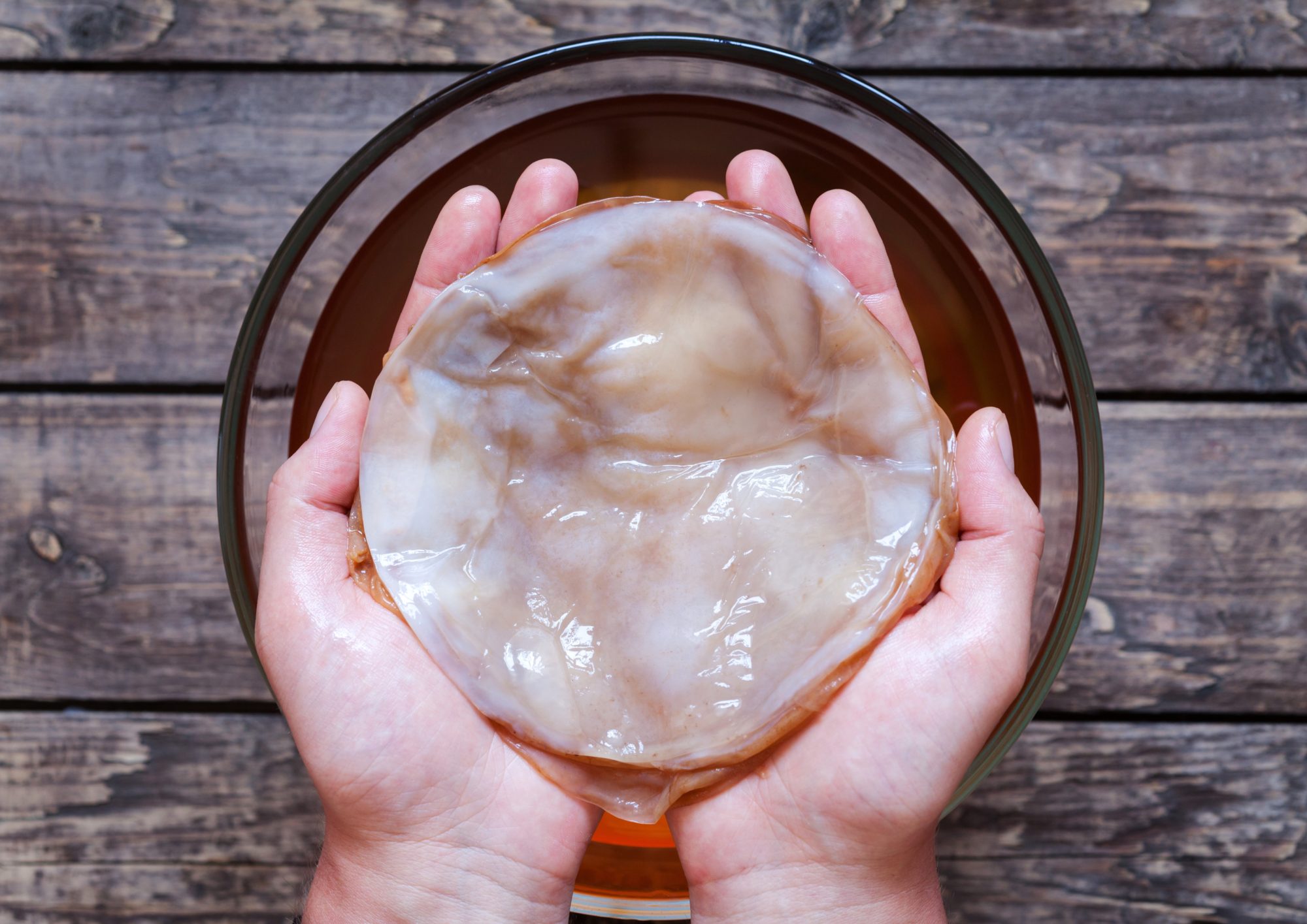 Steps to Make Kombucha Scoby