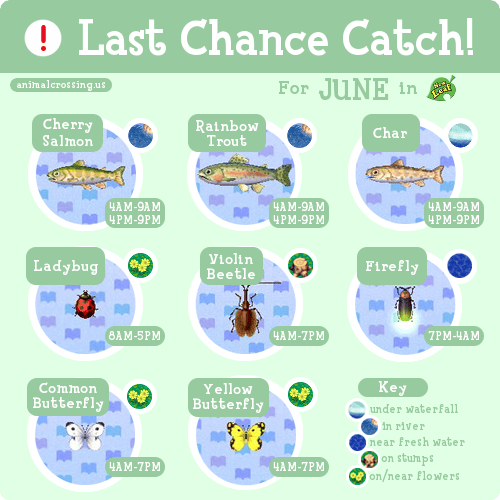 Animal Crossing New Leaf