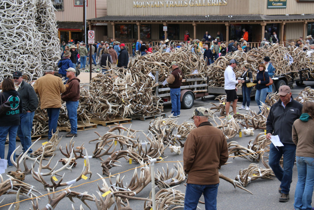 National Elk Refuge Jackson Town Square Buckrail - Jackson Hole, news