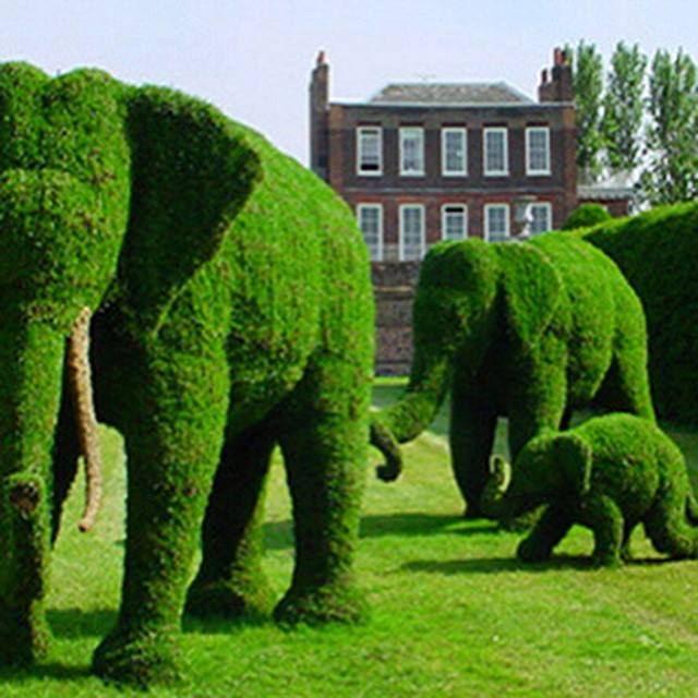 County GOP breaks ranks from state party platform announcing opposition to federal land transfer Topiary Garden Buckrail - Jackson Hole, news