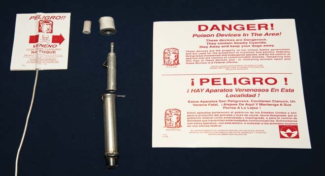 Groups call for end to poisonous coyote bombs Dog M44 Buckrail - Jackson Hole, news