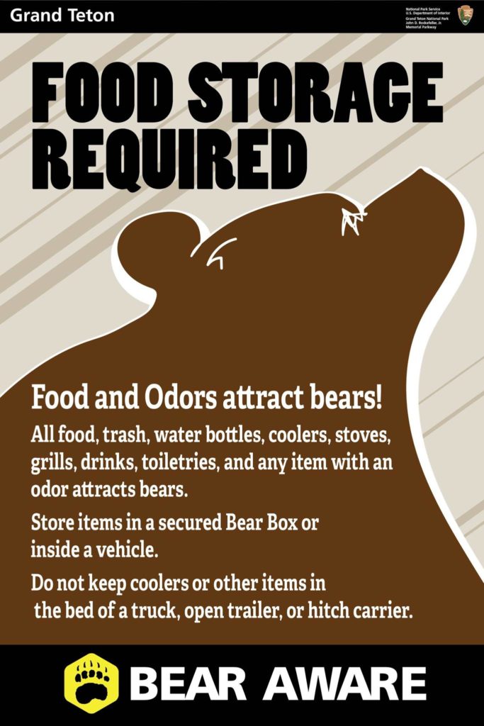 Black bear euthanized in Grand Teton American black bear Bears Buckrail - Jackson Hole, news