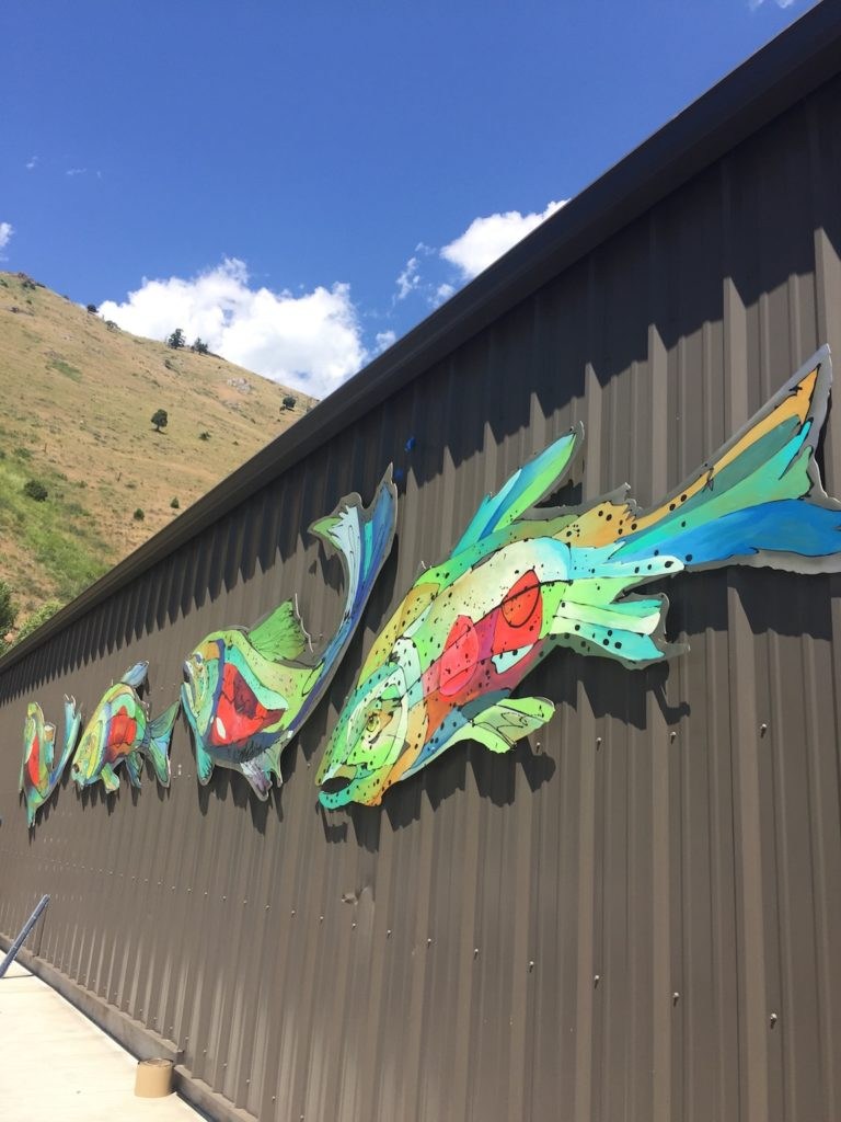 Fine spotted work of art: The story behind the colorful trout on the Orvis building Nicole Gaitan Art Orvis Buckrail - Jackson Hole, news