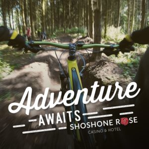 Mountain bike Bicycle Buckrail - Jackson Hole, news