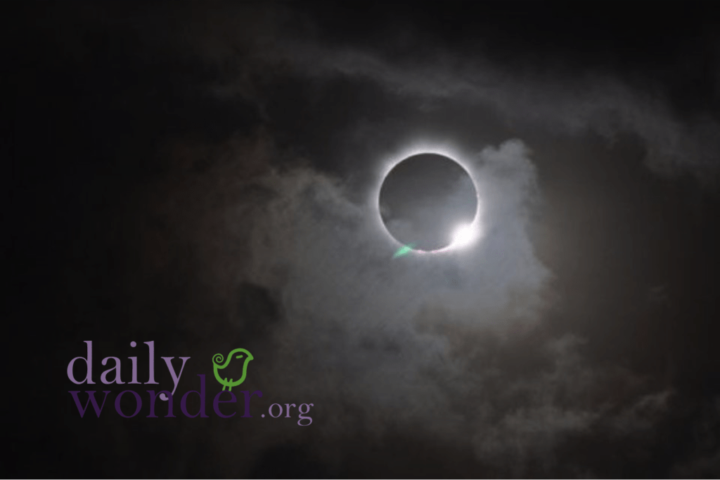 Stellar events lead up to Total Eclipse 2017 Nature Wallpaper Buckrail - Jackson Hole, news