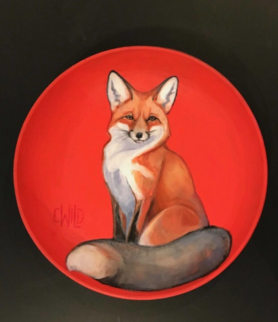 Red fox Mammal Buckrail - Jackson Hole, news