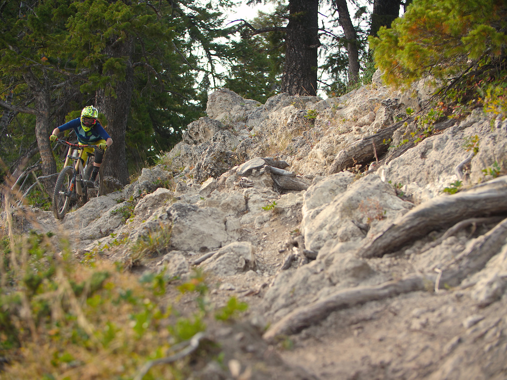 Mountain bike Bicycle Buckrail - Jackson Hole, news