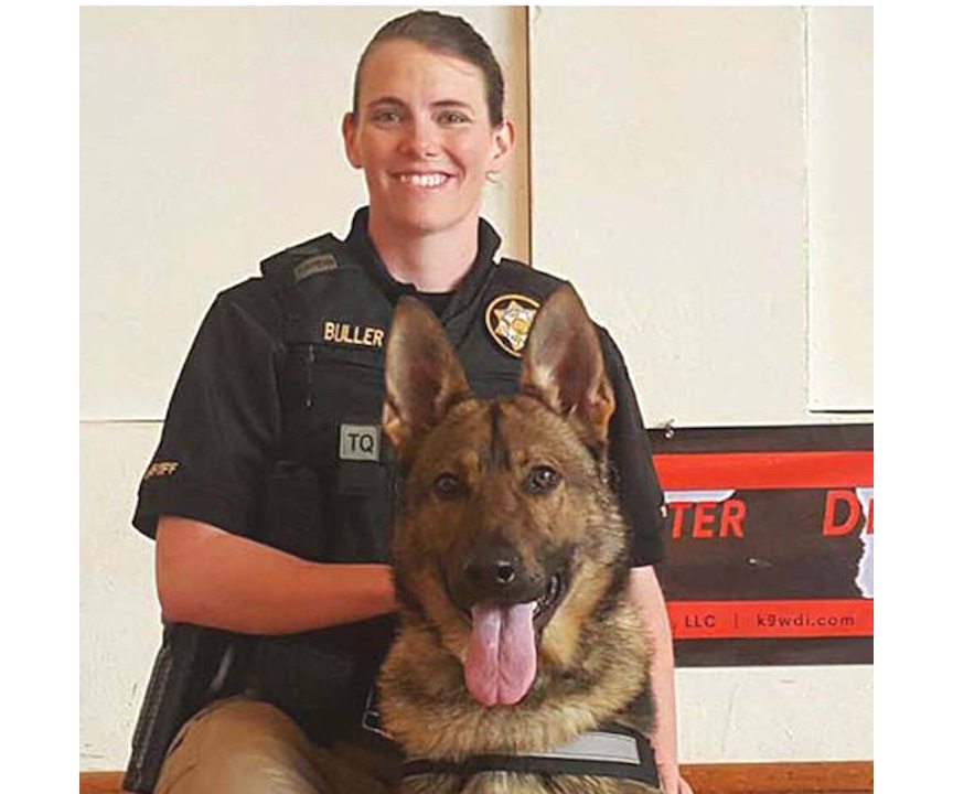 Good boy! K9 Huk gets vested German Shepherd Kunming wolfdog Buckrail - Jackson Hole, news