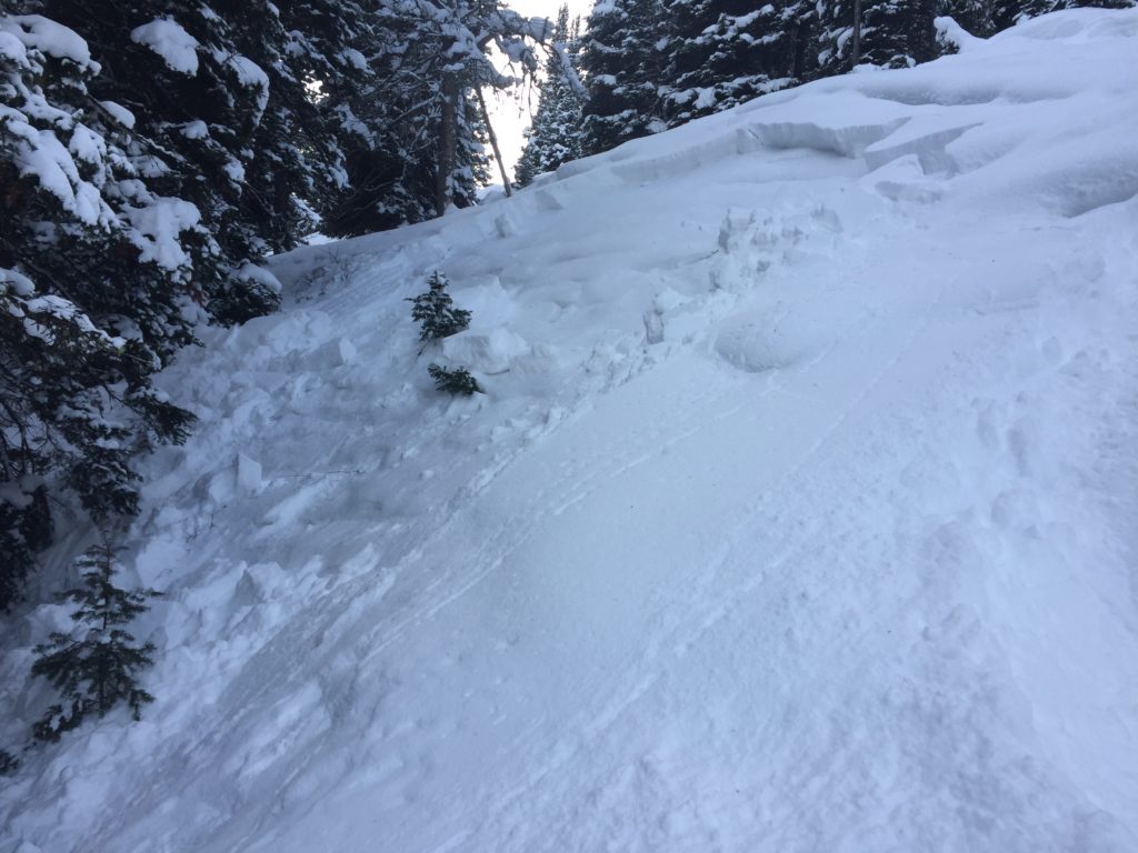 Ski mountaineering Mountaineering Buckrail - Jackson Hole, news