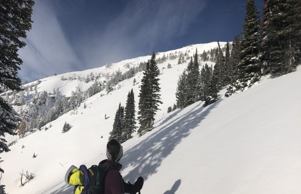 Ski mountaineering Mountaineering Buckrail - Jackson Hole, news